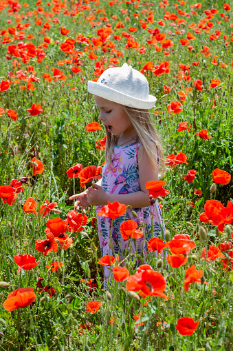 little girl playing on the Ukrainian poppy field near Odessa
