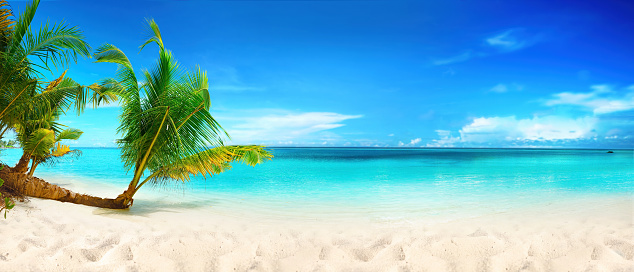 Beautiful beach with white sand, turquoise ocean, blue sky with clouds and palm tree over the water on a sunny day. Maldives, perfect tropical landscape, ultra wide format.