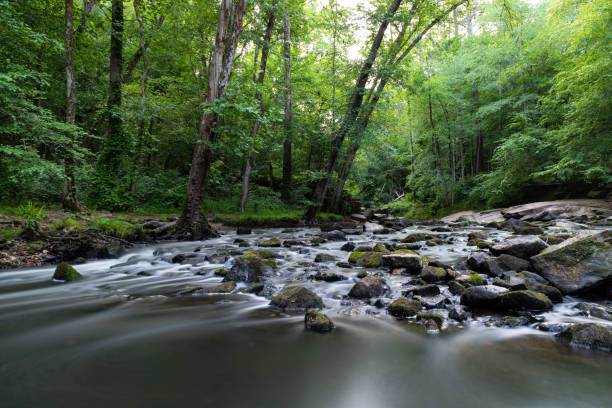 Umstead State Park in Raleigh, North Carolina Long exposure photograph of a flowing stream in Umstead State Park in Raleigh, North Carolina. durham stock pictures, royalty-free photos & images