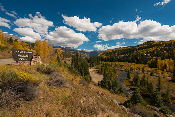 Uncompahgre National Forest road to Telluride stock photo