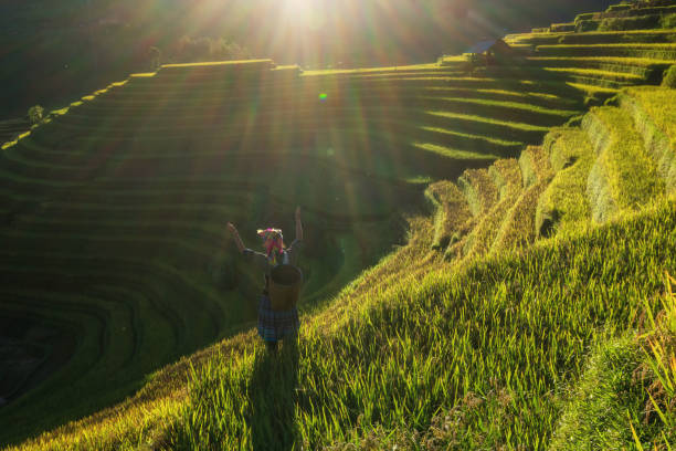 ongedefinieerde vietnamese hmong kinderen de hand in rijstvelden tonen wanneer de zonsondergang tijd met lens flare op mam xoi van mu cang chai district, yenbai provincie, ten noordwesten van vietnam. - cango stockfoto's en -beelden