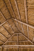 istock Under a Tiki Hut Roof While on a Nature Trail in West Northlake, Florida in February 2021 1300569369