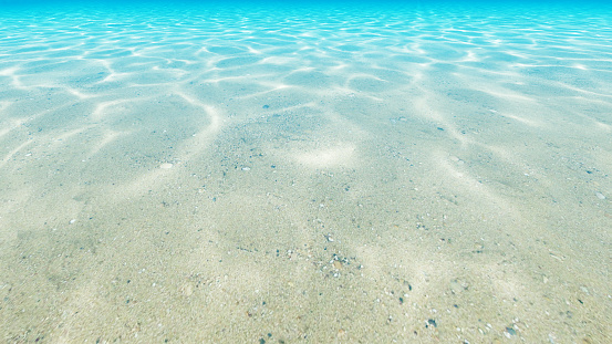 Under Blue Clear Sea Ocean Floor 3d Render Stock Photo Download