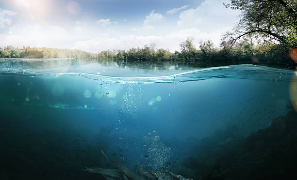 Underwater. Beautiful lake between the green banks Half underwater half over, over-under split shot of huge Lake Laber freshwater stock pictures, royalty-free photos & images