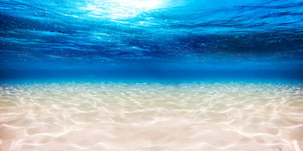 underwater blue ocean sandy background underwater blue ocean wide panorama background with sandy sea bottom at the bottom of stock pictures, royalty-free photos & images