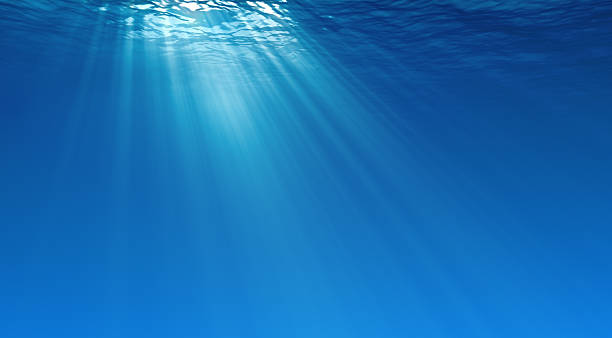 Underwater Underwater scene with light rays. underwater stock pictures, royalty-free photos & images