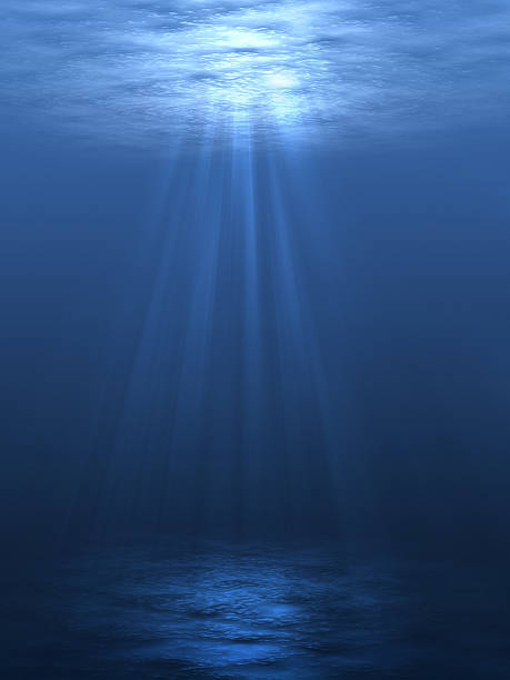 Underwater Underwater at the bottom of stock pictures, royalty-free photos & images