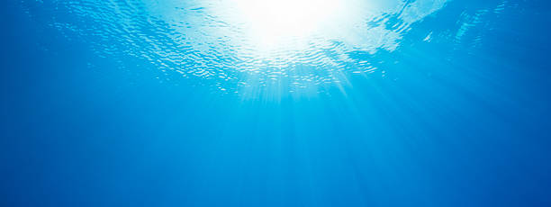 Underwater view looking up towards surface, Sun beams filtering...