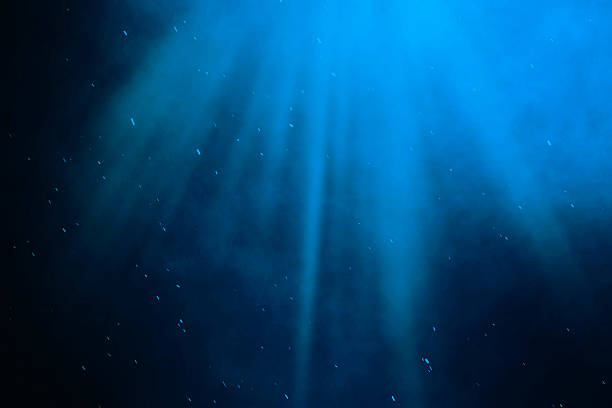 underwater sea, ocean with light rays. 3d illustration - ravijn stockfoto's en -beelden