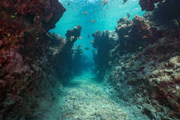 Underwater seascape narrow trench in rocky reef stock photo
