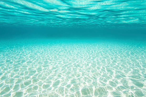 underwater seascape with white sand bottom in the Caribbean stock photo