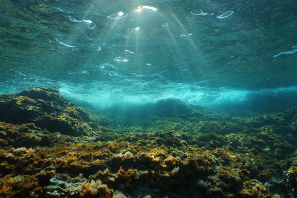 Underwater sunlight rocky seabed Mediterranean sea stock photo