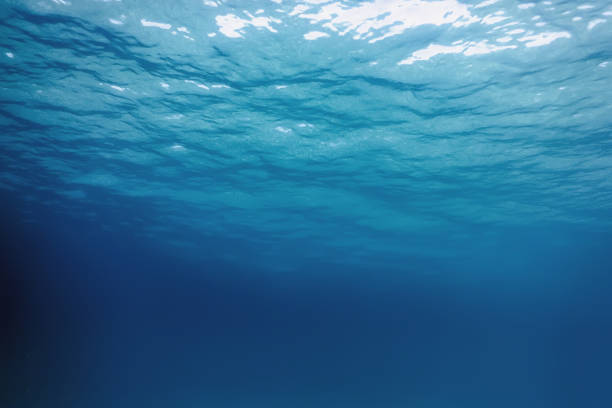 Underwater view of the sea surface Underwater view of the sea surface underwater stock pictures, royalty-free photos & images