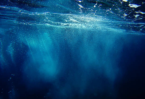 Underwater world Underwater world. Go pro camera shot undersea stock pictures, royalty-free photos & images