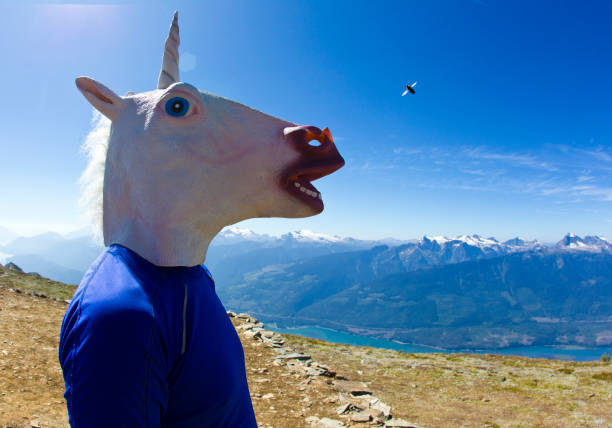 Unicorn Horse and Horse Fly A man wearing an unicorn mask looks at a horse fly on top of a mountain near Revelstoke, British Columbia, Canada in the summer. horse mask photos stock pictures, royalty-free photos & images