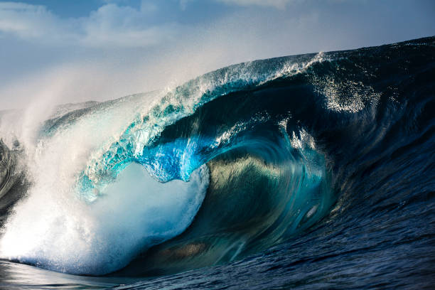 Unique blue open ocean wave barrelling in warm morning light stock photo