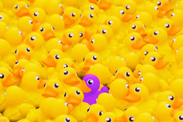 Unique purple toy duck stock photo