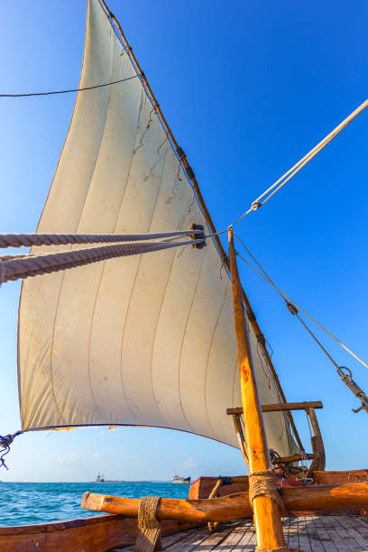 unique view of the sails of a sailing dhow showing the bulging sail and ropes for rigging inside view of a dhow's sails and deck with taught rigging and a bellowing sails against a blue sky dhow stock pictures, royalty-free photos & images