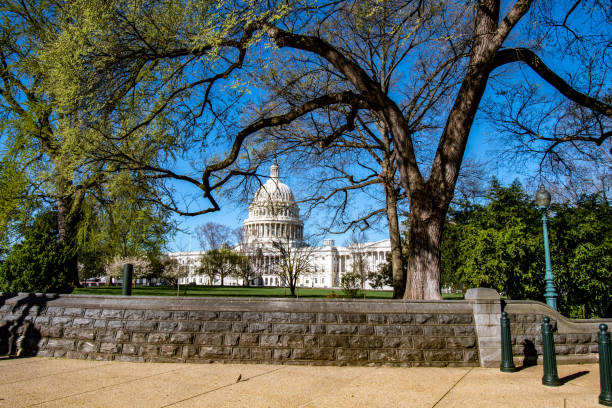 United States Capitol Building US Capitol Building in Washington DC. bowser stock pictures, royalty-free photos & images