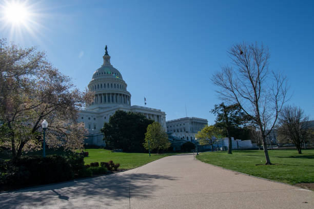 United States Capitol Building US Capitol Building in Washington DC. bowser stock pictures, royalty-free photos & images