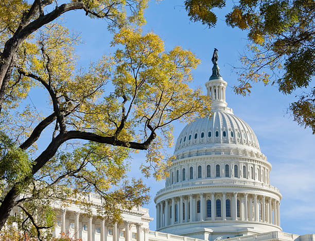 United States Capitol Dome Bordered by Trees in Autumn stock photo