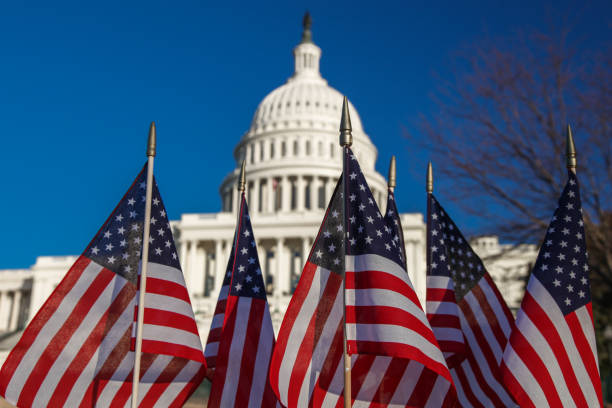 United States Capitol West with group of American Flags in Washington, DC stock photo