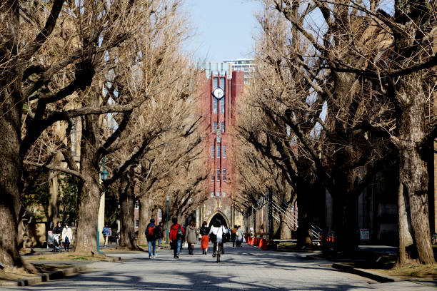 東京の大学 - 東大 ストックフォトと画像
