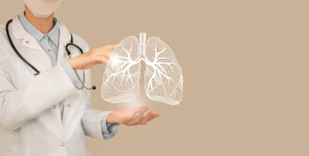 Unrecognisable doctor holding highlighted handrawn Lungs in hands. Medical illustration, template, science mockup. stock photo
