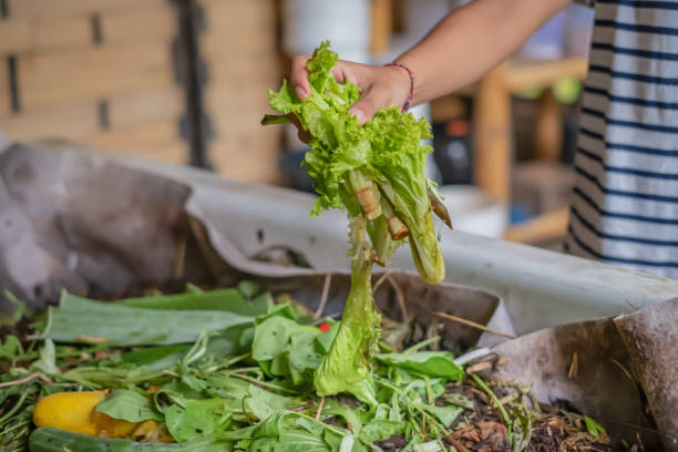 Unrecognizable Female Hand Throwing Food Waste into Compost Pile