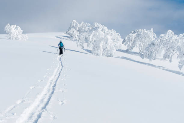 oigenkännlig kvinnlig turist vandring på hennes skidor upp den snöiga kullen i niseko. - skidled bildbanksfoton och bilder