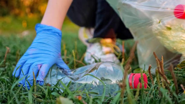 unrecognizable person collects trash in gloves, blurred background, close-up of a plastic bottle stock photo