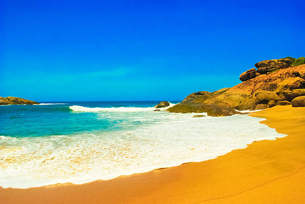 Untouched tropical beach in Sri Lanka stock photo