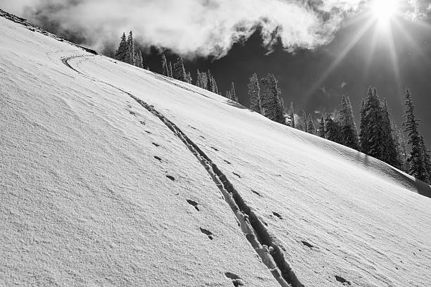 Uphill ski tracks in the Tetons stock photo