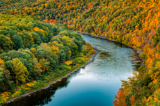 Upper Delaware river bends through a colorful autumn forest, near Port Jervis, New York