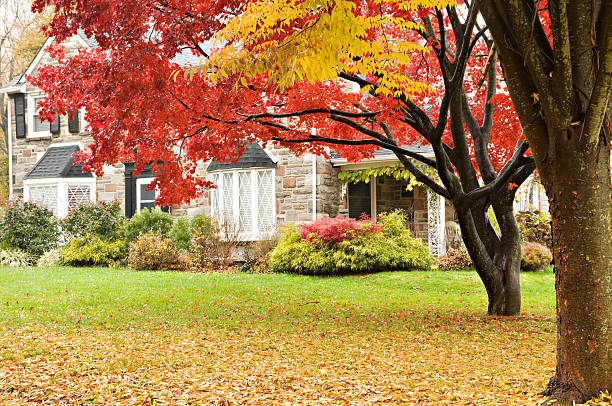 Upscale family house and front lawn in autumn Homes series: front yard stock pictures, royalty-free photos & images