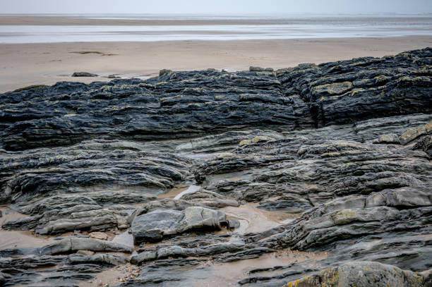 Upturned beds of Pilton shale of differing resistance that has been eroded into ridges, Sauntons Sands, Braunton, Devon Upturned beds of Pilton shale of differing resistance that has been eroded into ridges, Sauntons Sands, Braunton, Devon, UK braunton stock pictures, royalty-free photos & images