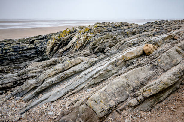 Upturned beds of Pilton shale of differing resistance that has been eroded into ridges, Sauntons Sands, Braunton, Devon Upturned beds of Pilton shale of differing resistance that has been eroded into ridges, Sauntons Sands, Braunton, Devon, UK braunton stock pictures, royalty-free photos & images