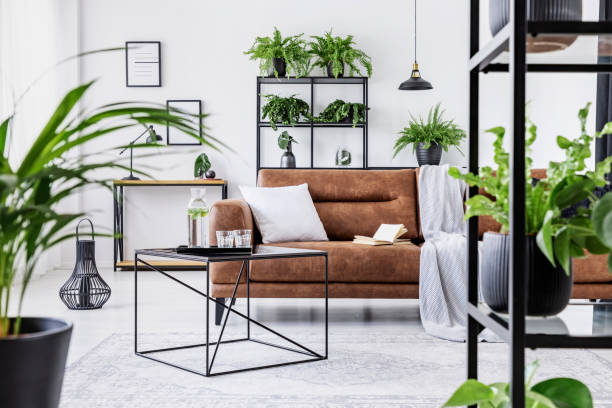 https://media.istockphoto.com/photos/urban-jungle-in-modern-living-room-interior-with-big-comfortable-picture-id1061644224?k=20&m=1061644224&s=612x612&w=0&h=sQfjgspw5BbvuDA5WqPnNN0ZbFcW7vIfRg4k5n6S6bY=