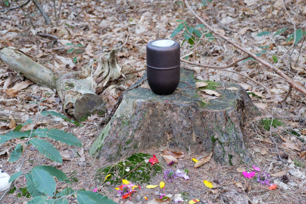 urn is op een boomstomp in bossen met bloemen die vooraan worden verspreid - urn stockfoto's en -beelden