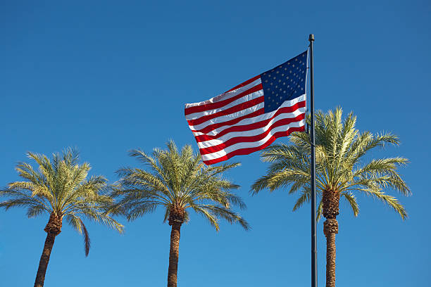 Usa flag and palms on blue sky stock photo