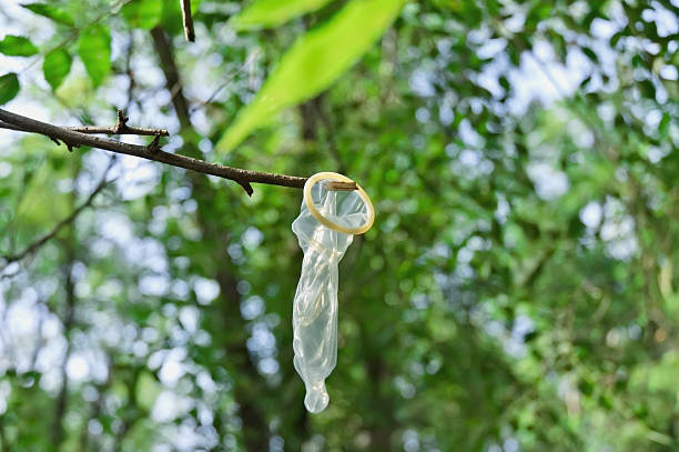 Used condom hanging on a branch stock photo
