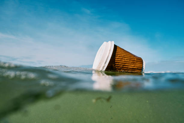 used discarded paper coffee cup floating on the sea surface. stock photo