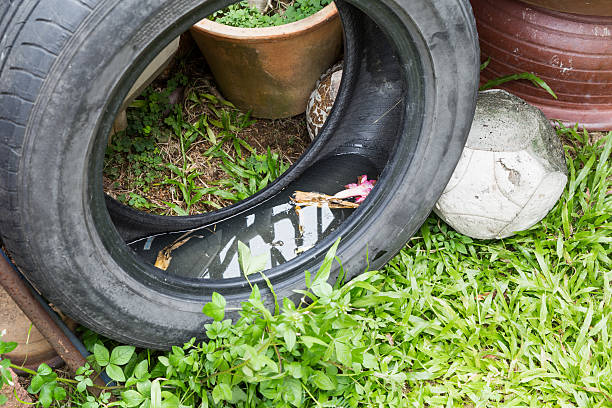 Used tyres potentially store stagnant water and mosquitoes breed Used tyres potentially store stagnant water and become mosquitoes breeding ground dengue fever fever stock pictures, royalty-free photos & images