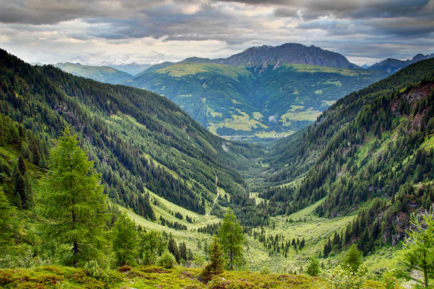 U-shaped valley with forests and meadows Carnic Alps Austria U-shaped valley with lush green forests and meadows in Karnische Alpen with Eggenkofel peak of Gailtaler Alpen Lienzer Dolomiten in cloudy morning, Untertilliach Lesachtal Osttirol Austria Europe osttirol stock pictures, royalty-free photos & images