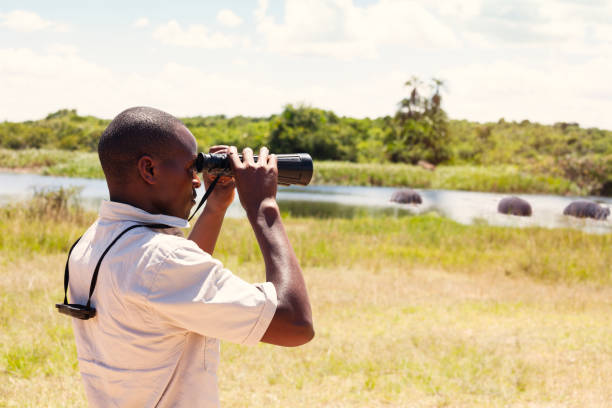 在東非的一次狩獵中使用雙筒望遠鏡 - rangers 個照片及圖片檔