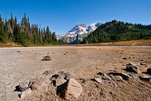 Dry Aurora Lake and Mount Rainier Usually full of water after the spring snowmelt, Aurora Lake dries out in the late summer and fall. Aurora Lake is at Klapatche Park in Mount Rainier National Park, Washington State, USA. jeff goulden fall colors stock pictures, royalty-free photos & images