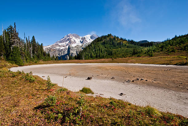 Dry Aurora Lake and Mount Rainier Usually full of water after the spring snowmelt, Aurora Lake dries out in the late summer and fall. Aurora Lake is at Klapatche Park in Mount Rainier National Park, Washington State, USA. jeff goulden mount rainier national park stock pictures, royalty-free photos & images