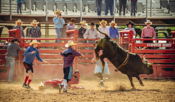 Utah Bull Riding Rodeo Stock Photo - Download Image Now 