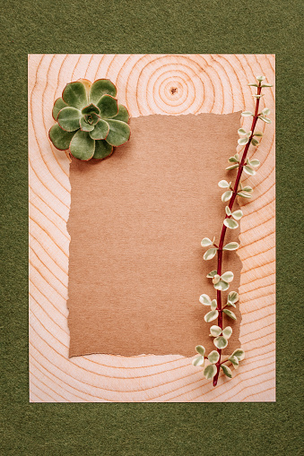 Empty nature textured paper blank with succulent plant on floral handcraft paper in boho look, grain added. The second paper in the background has tree rings as a pattern. The composition is very well suited for a letter to Mother Earth.