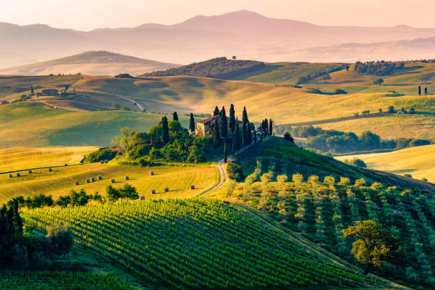 Val d'Orcia, Tuscany, Italy Val d'Orcia, Tuscany, Italy. A lonely farmhouse with cypress and olive trees, rolling hills. italy stock pictures, royalty-free photos & images
